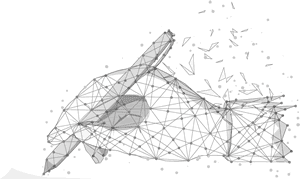 technical-specification-development Technical Specification Development